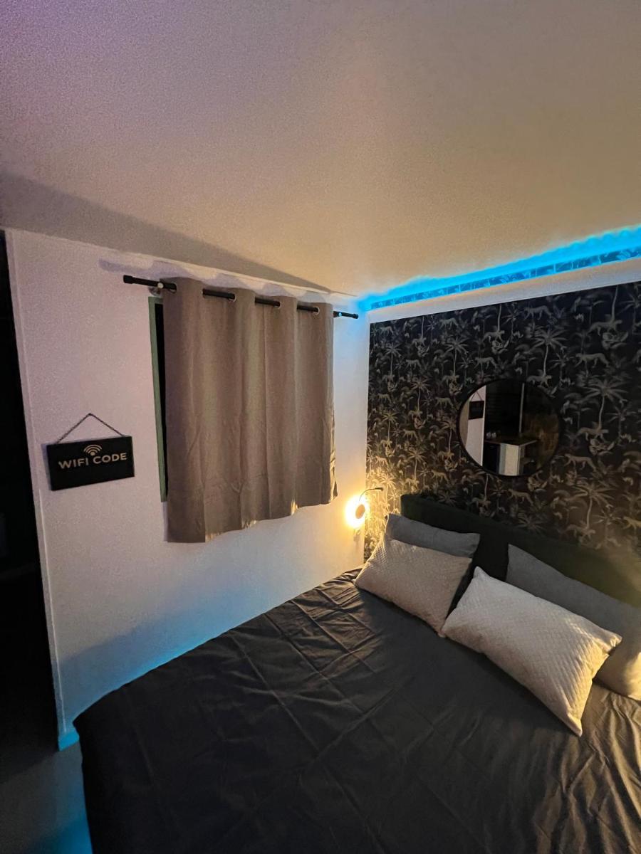 Appartement O'Centre Chateauneuf Sur Loire - Housity