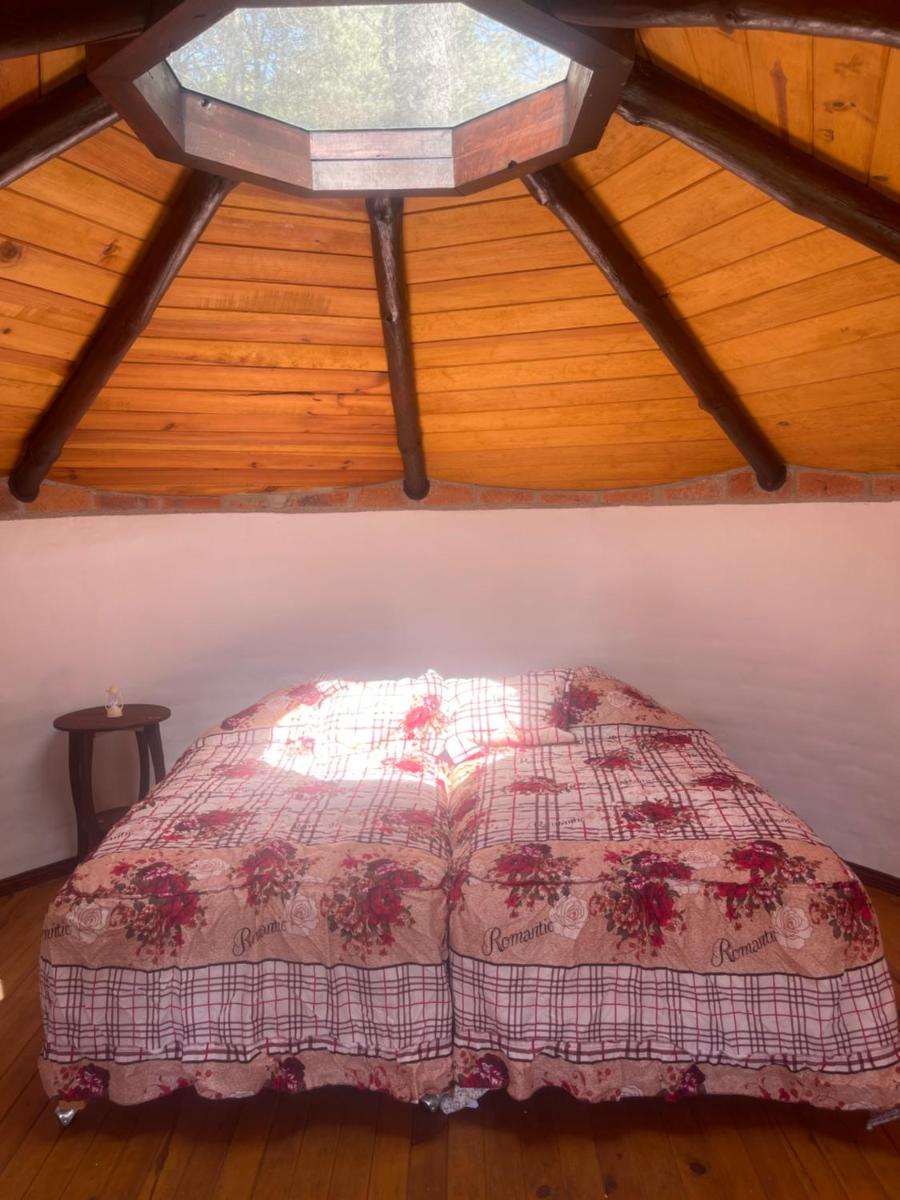 Glamping Tierra Firme - Housity