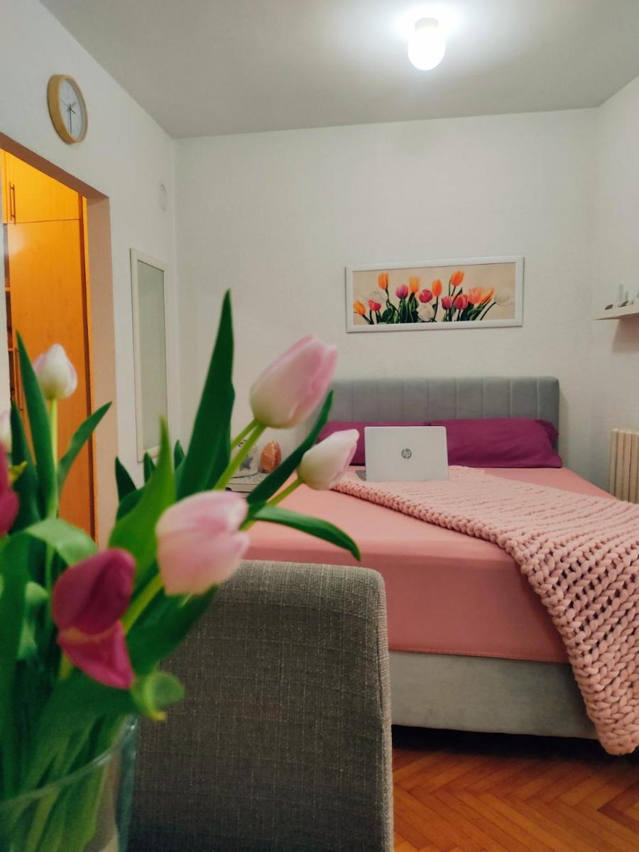 Apartman Lenka - Housity