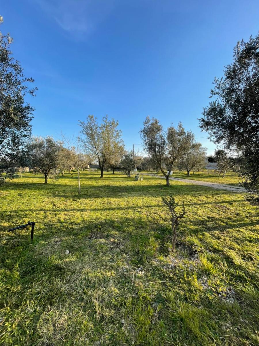 19th century Trullo Raeda in the middle of nature - Housity