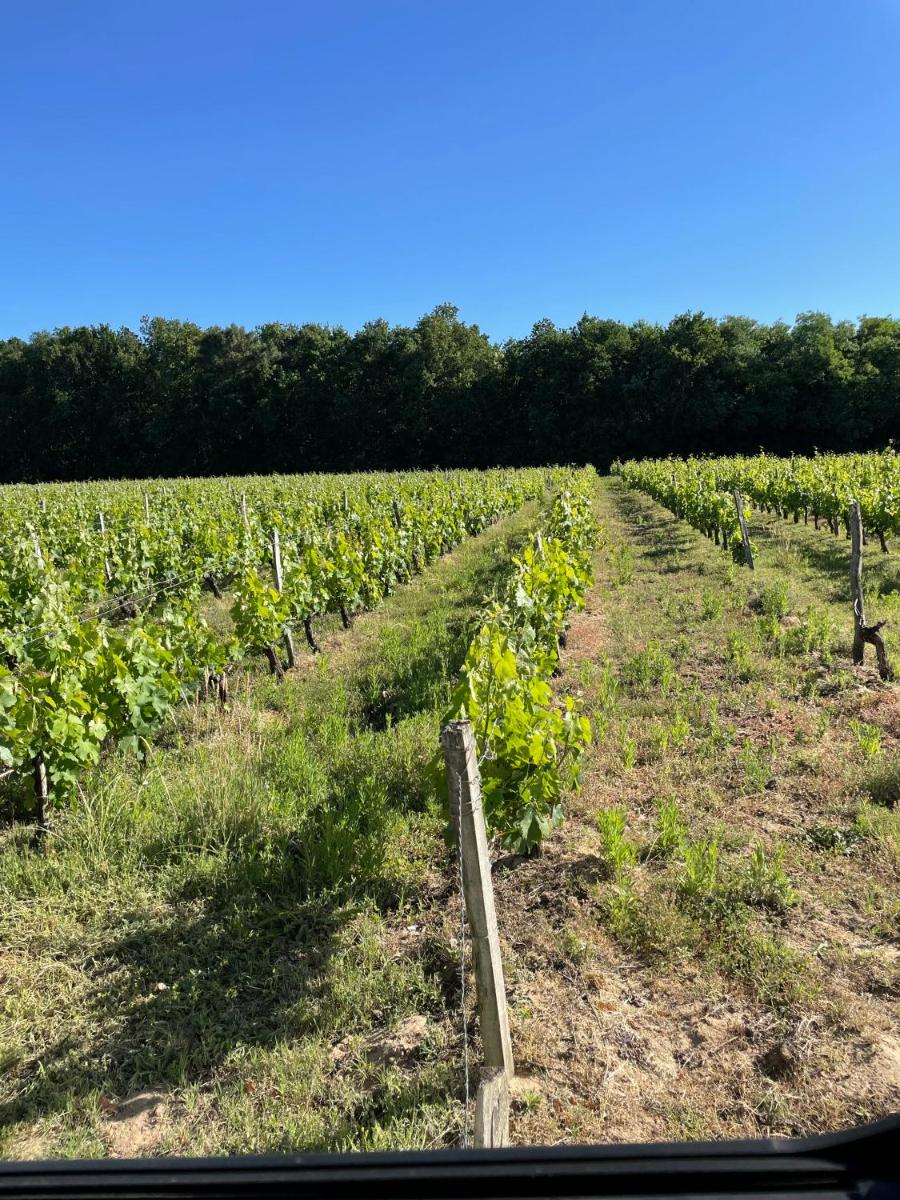 Domaine des quatre terres - Housity