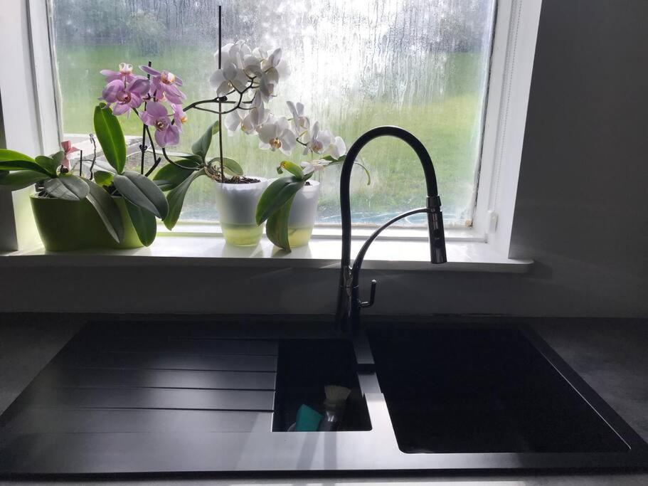 COZY APPARTMENT Free parking - Housity
