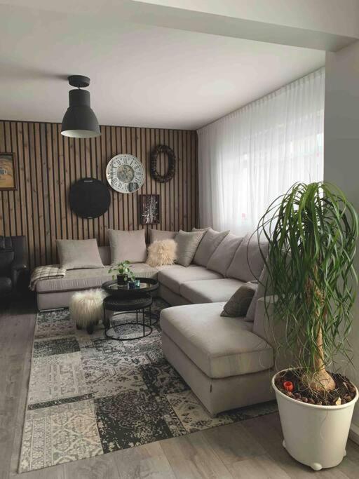 COZY APPARTMENT Free parking - Housity