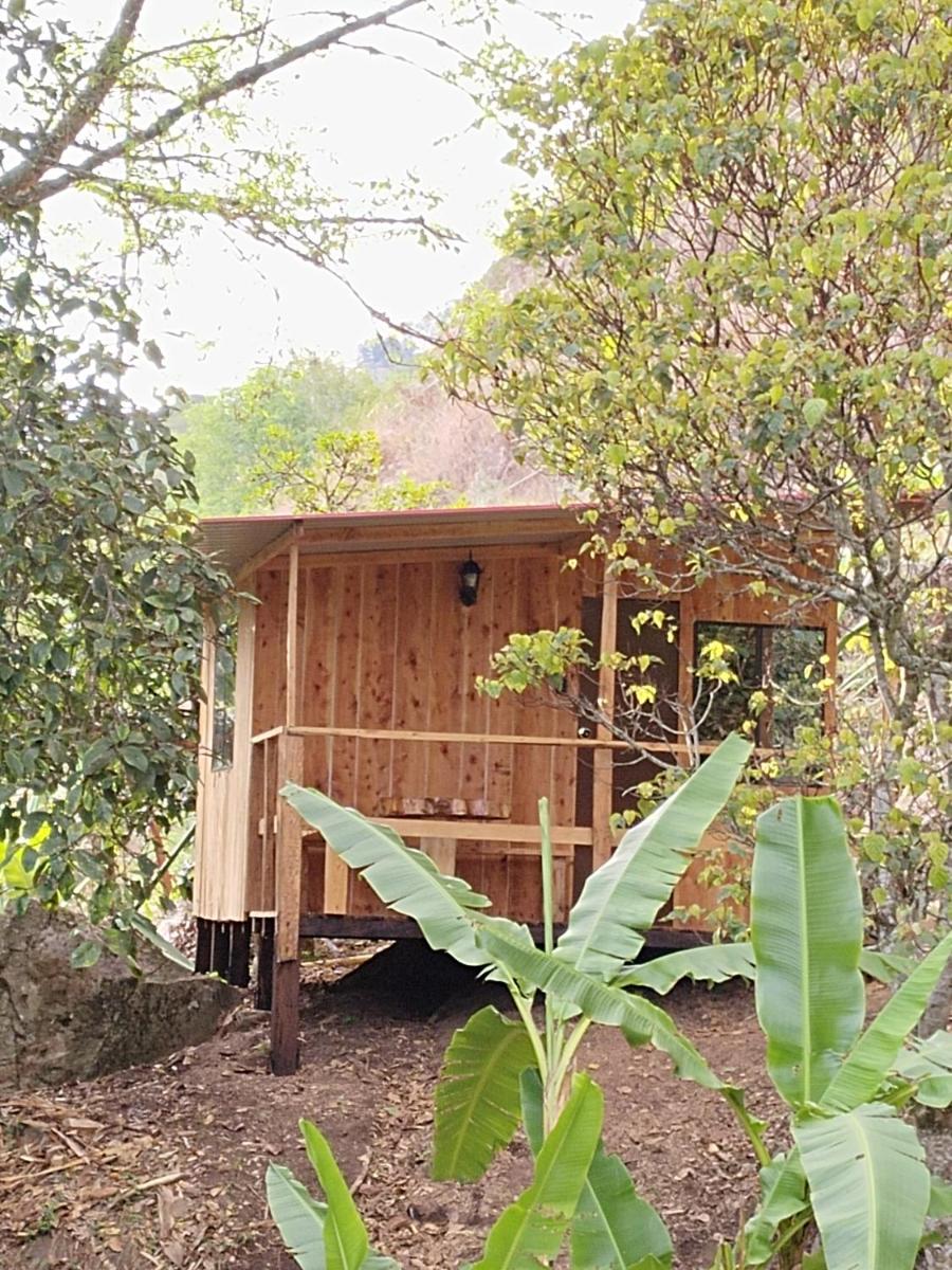 Macheta Climbing House - Housity