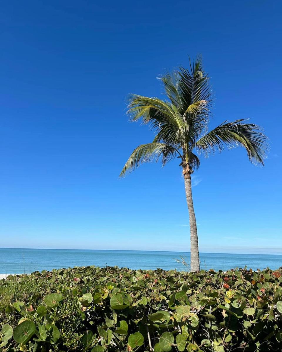 Captiva Bayside Villas 1 Bedroom 2 Bath - sleep 4 - Housity