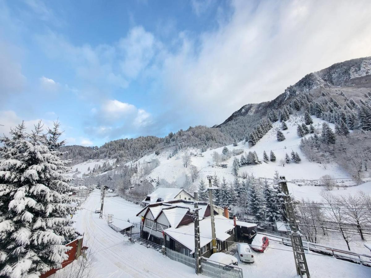 Diana's Holiday Home - Housity