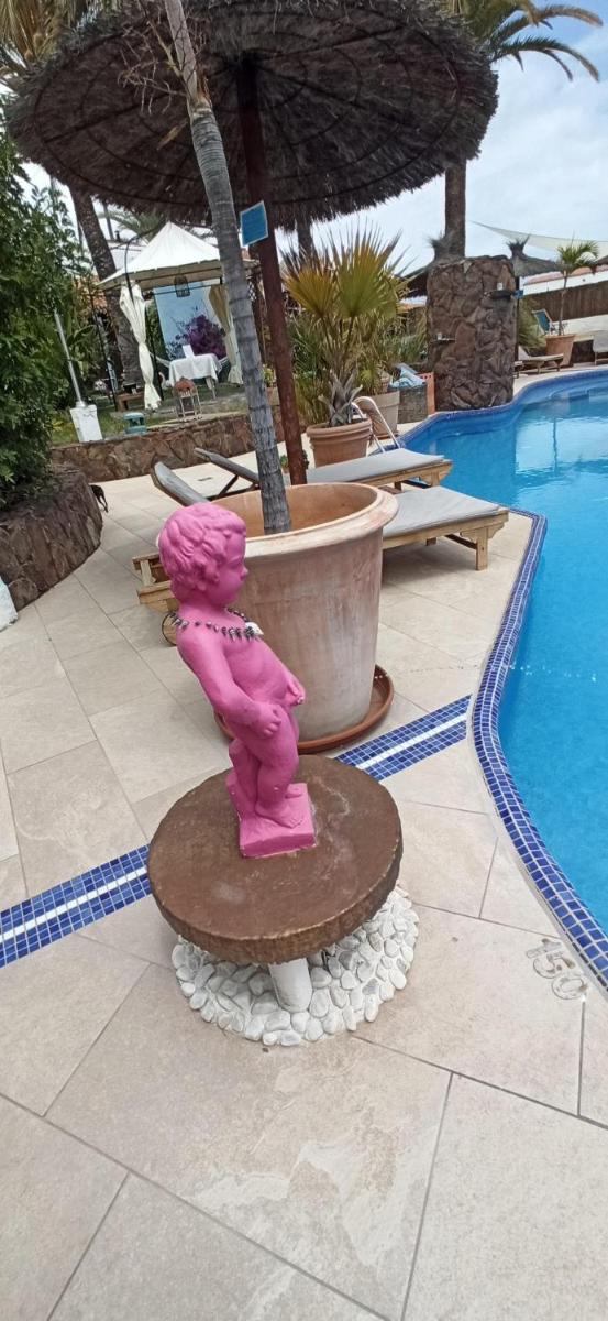 Piscina en o cerca de Birdcage Gay Men Resort and Lifestyle Hotel