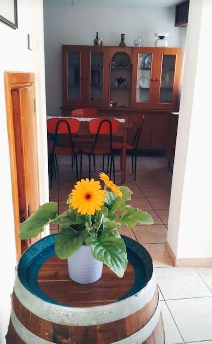 Iperico, casa montagna, camino e piscina condivisa - Housity