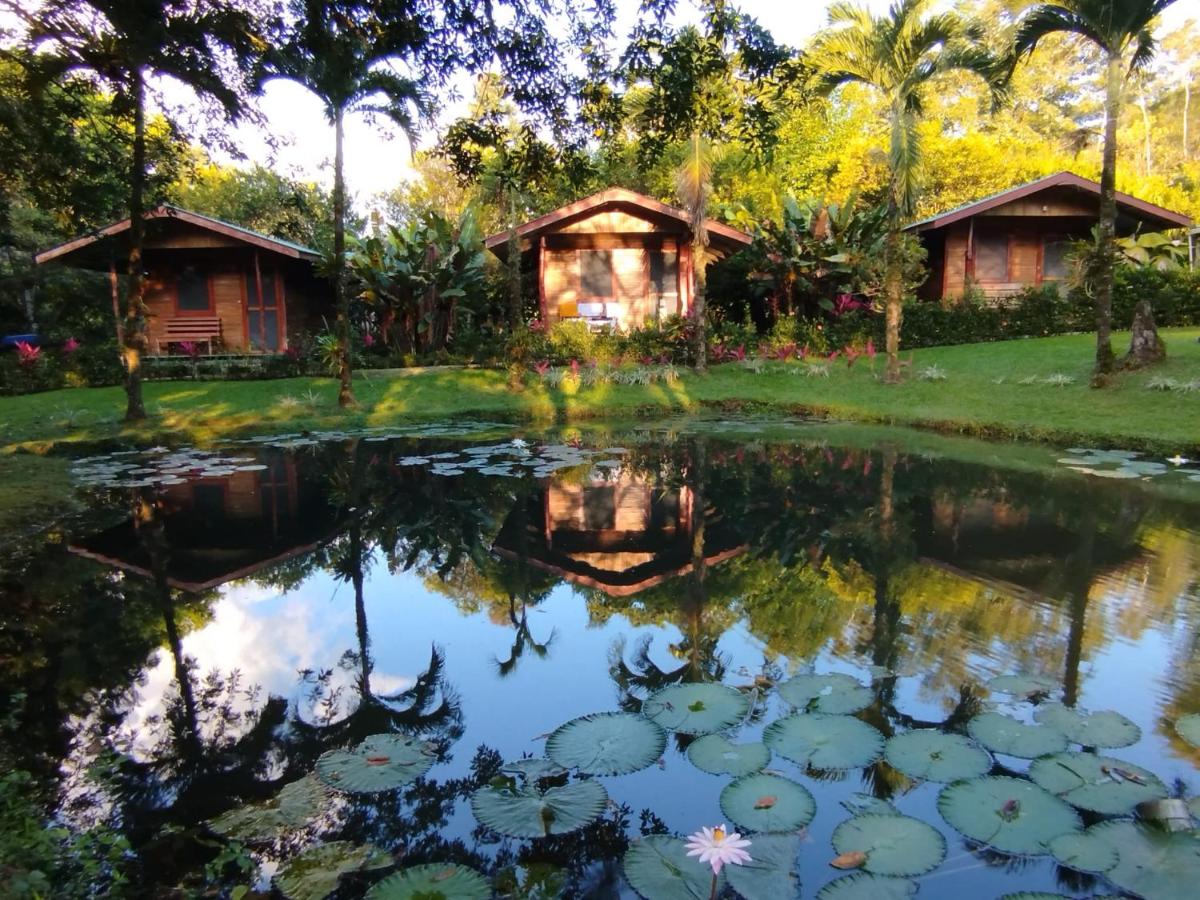 Rincon Verde - Housity