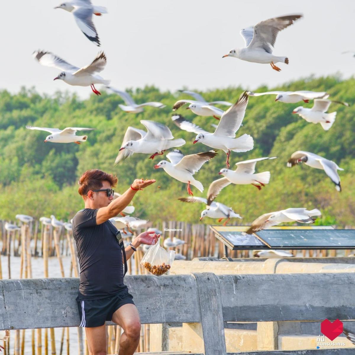 สถานตากอากาศบางปู Bang Pu Recreation Center SHA Plus - Housity