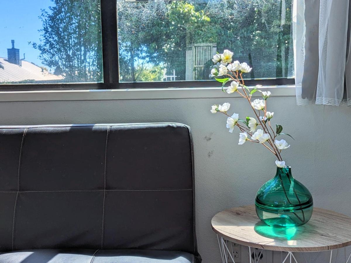 Rotorua redwood retreat - Housity
