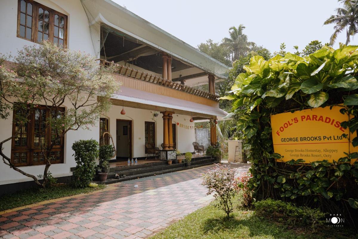 Fool's Paradise - Housity
