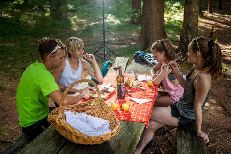 Ds Camping Grgar1 - Housity