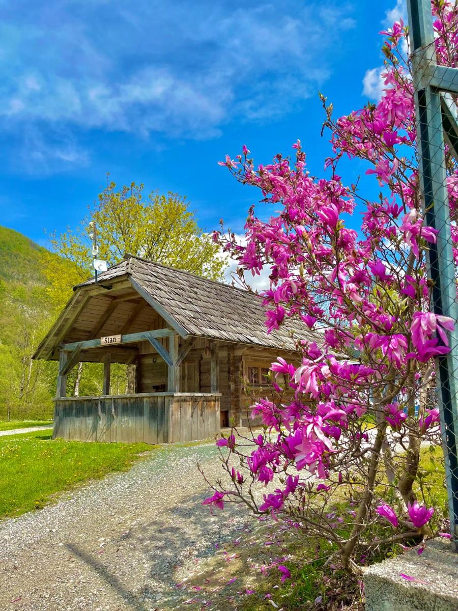 Camping Danica Cottage Stan - Housity