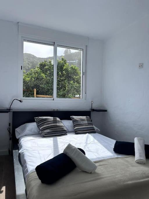 Casa cueva las rosadas & piscina - Housity