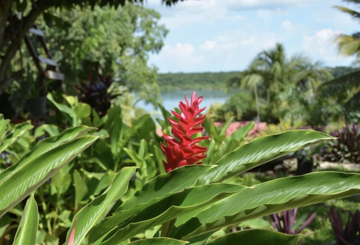 Villa Azul Xulha - Housity