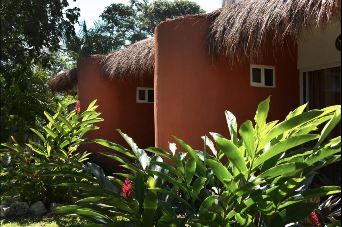 Villa Azul Xulha - Housity