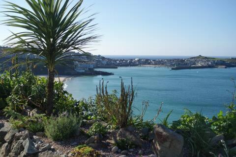 The Grey Mullet Guest House - Housity