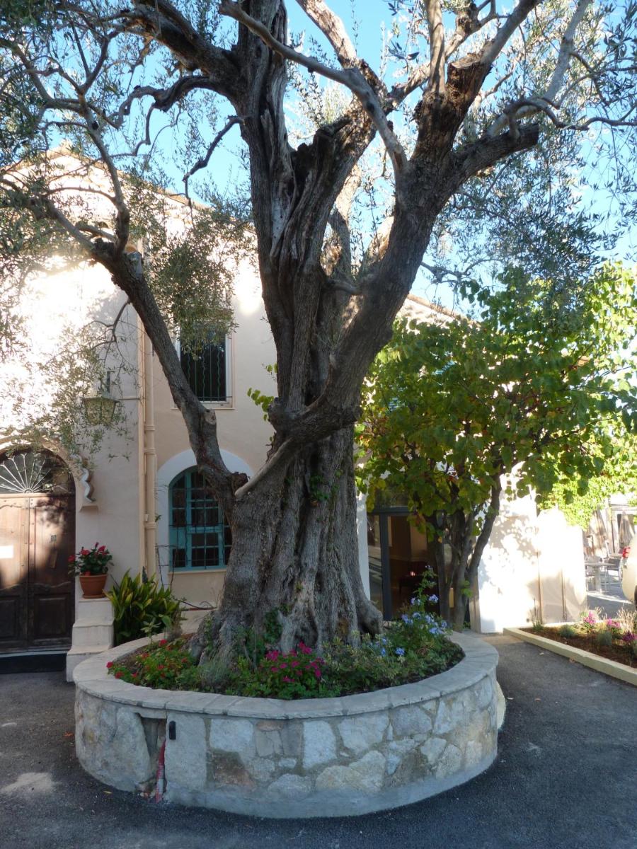 Photo de la galerie de l'établissement La Bastide de l'Oliveraie, à Cannes