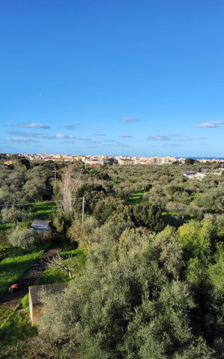 B&B Stella di Mare - Housity