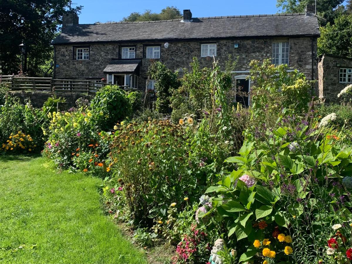 Pant-y-creolen - Housity