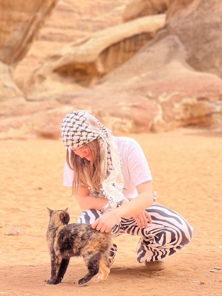 Bedouin Adventure Camp - Housity
