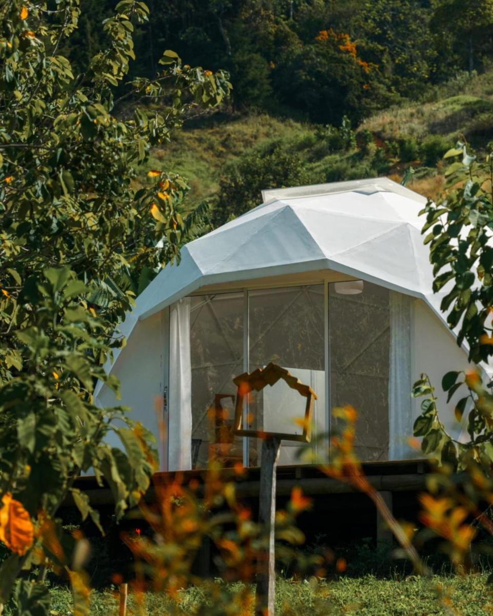 Rainbow Glamping - Housity