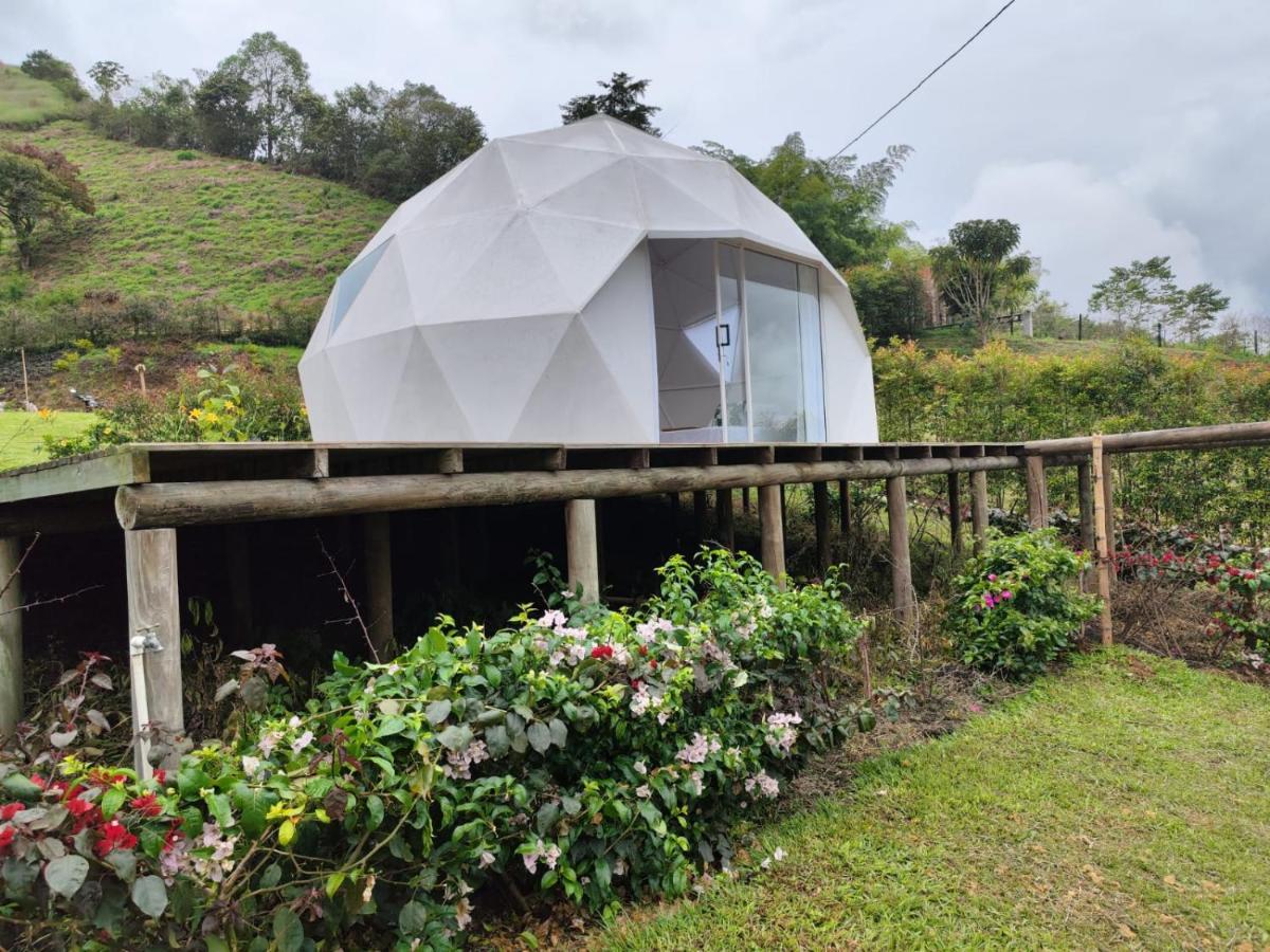 Rainbow Glamping - Housity