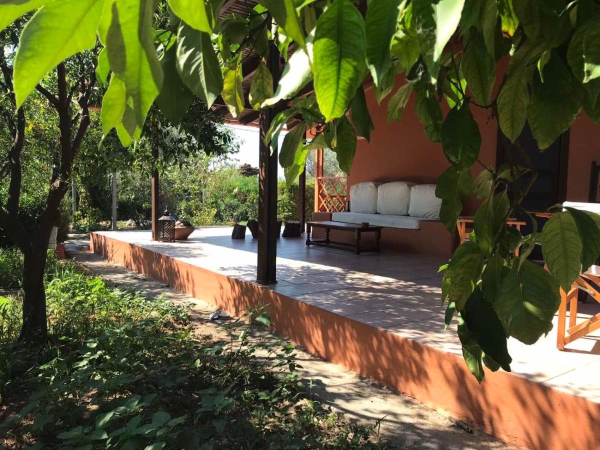 Tzitzikari, Private Cottage in a Citrus Garden - Housity
