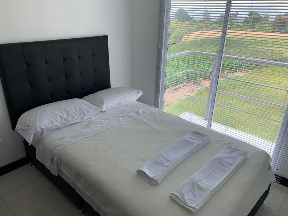 Economicos Apartamentos Amoblados con Piscina - Housity