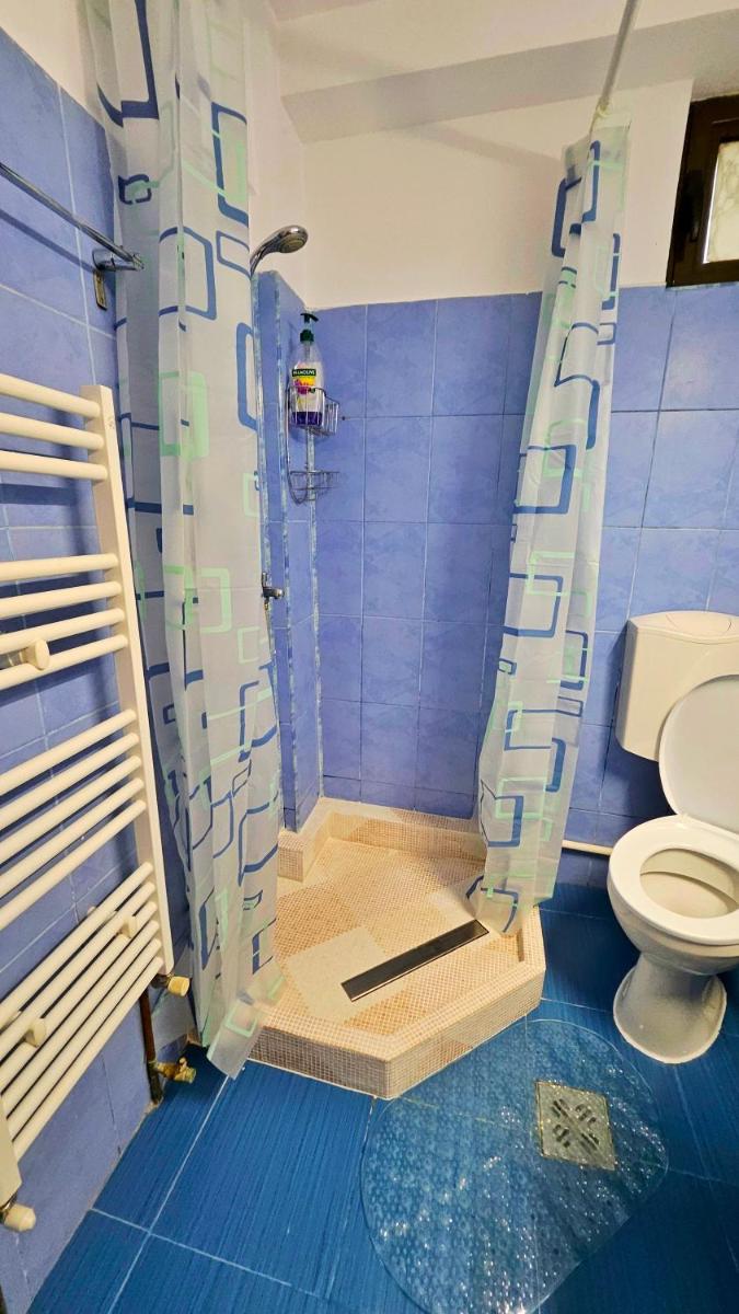 Ultracentral Lozonschi Apartament Parter - Housity