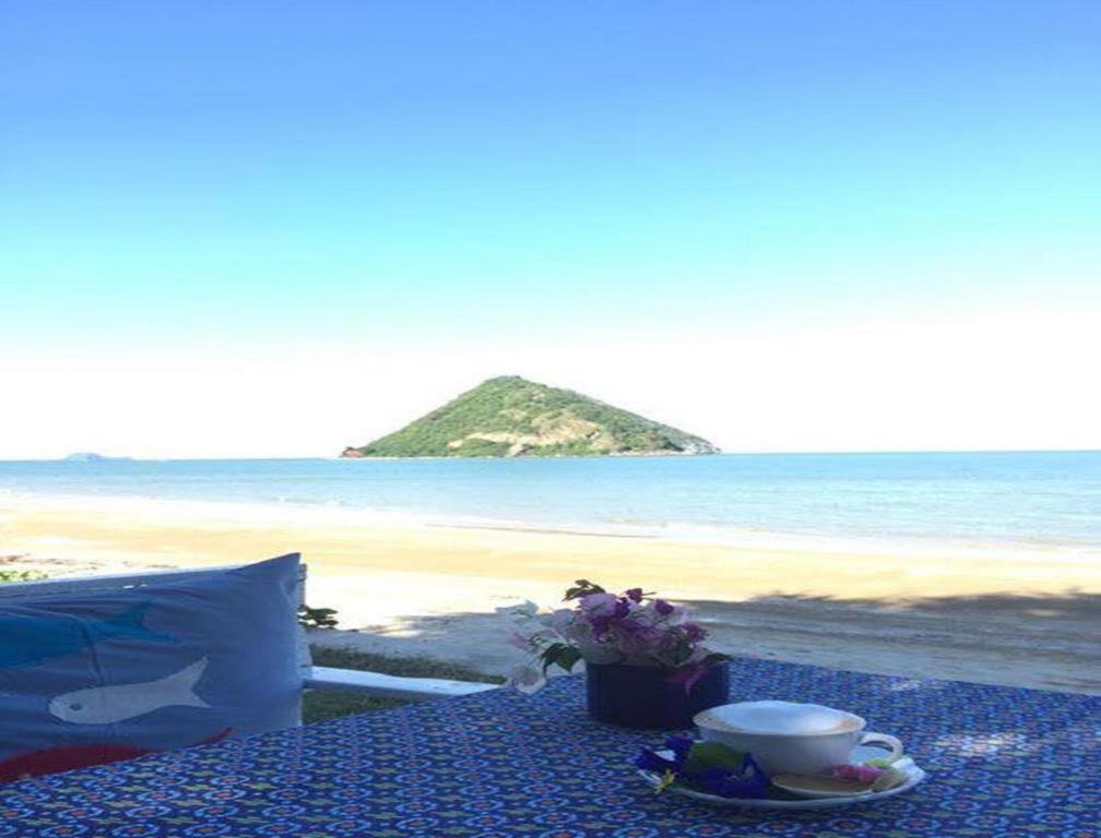 Brassiere Beach Hotel - Housity