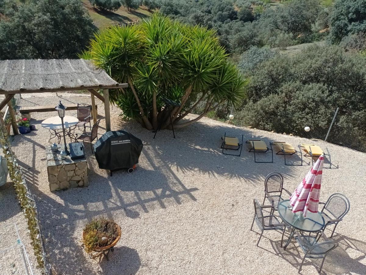 Hacienda la buena vida B&B en appartementen casita almendas - Housity