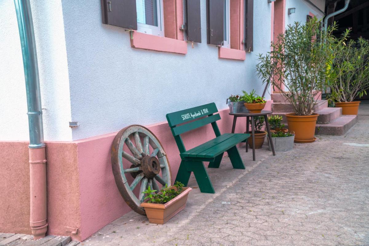 SCHULTE Appartements & MEHR - Housity