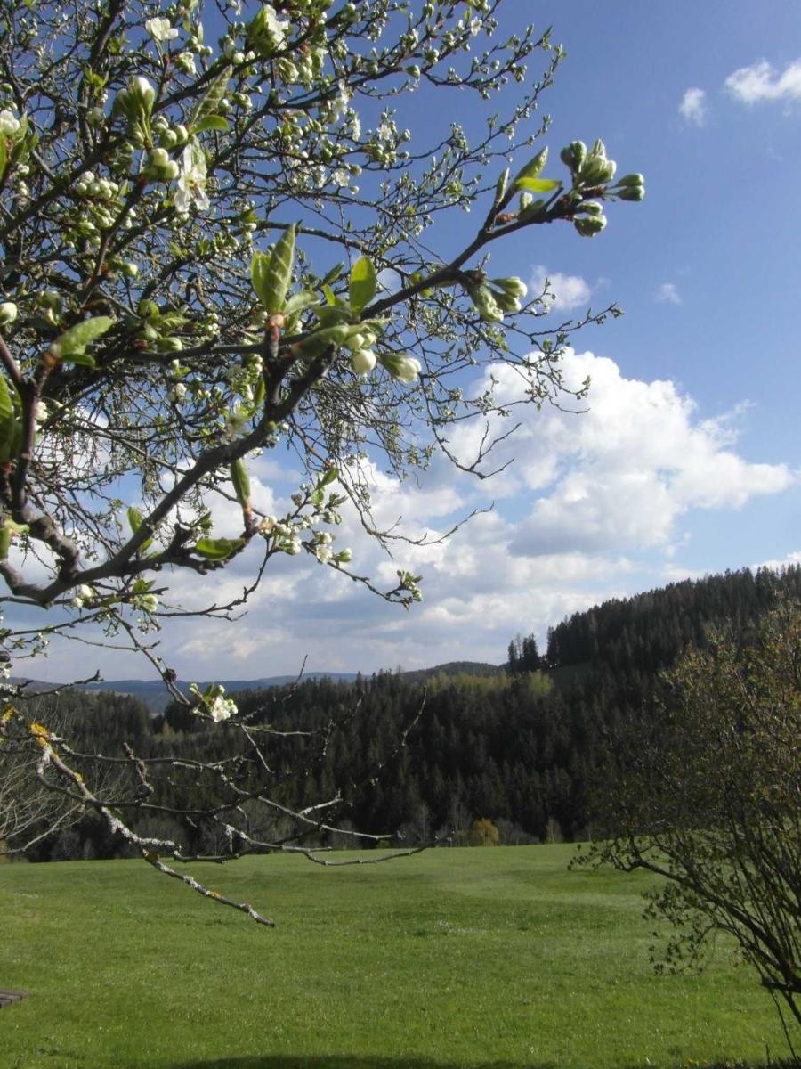 Pircherhof - Urlaub und Erholung im Troadkost'n - Housity