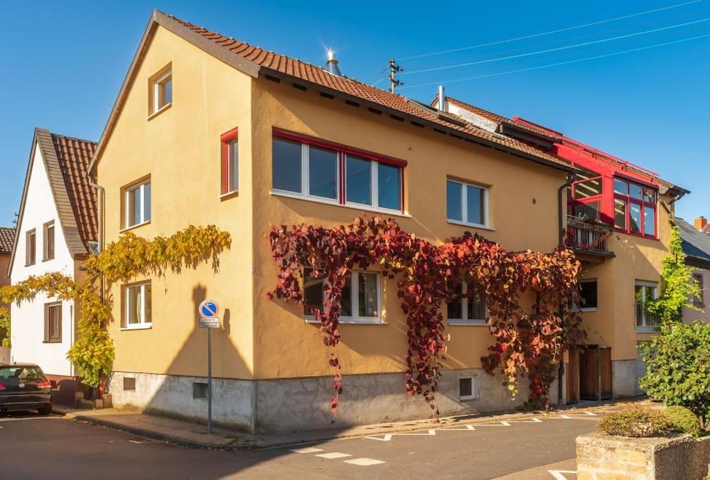 Unter den Reben - Housity