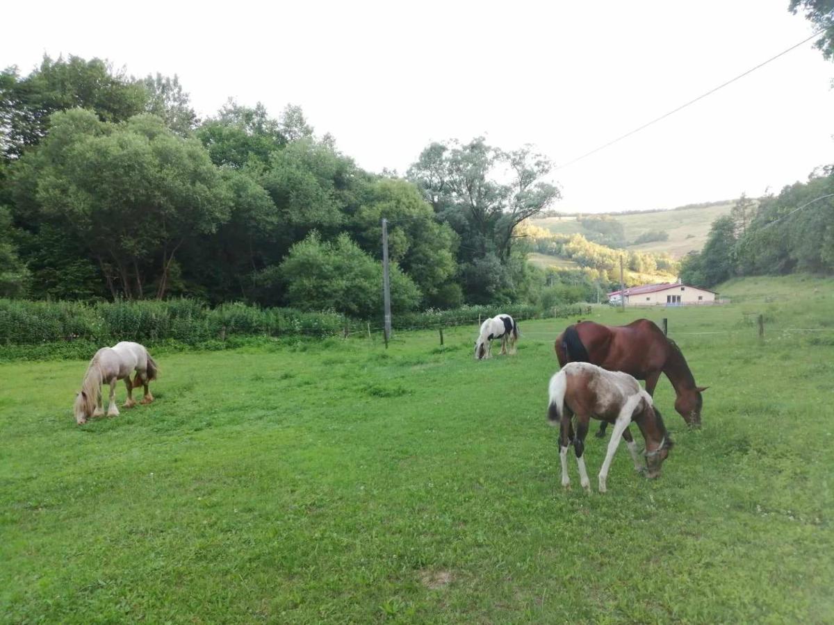 Oddychový pobyt na rodinnej farme - Housity