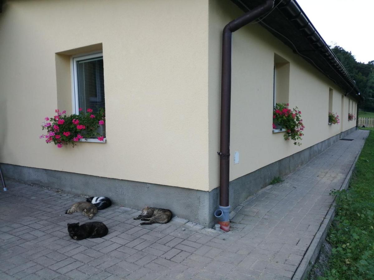 Oddychový pobyt na rodinnej farme - Housity