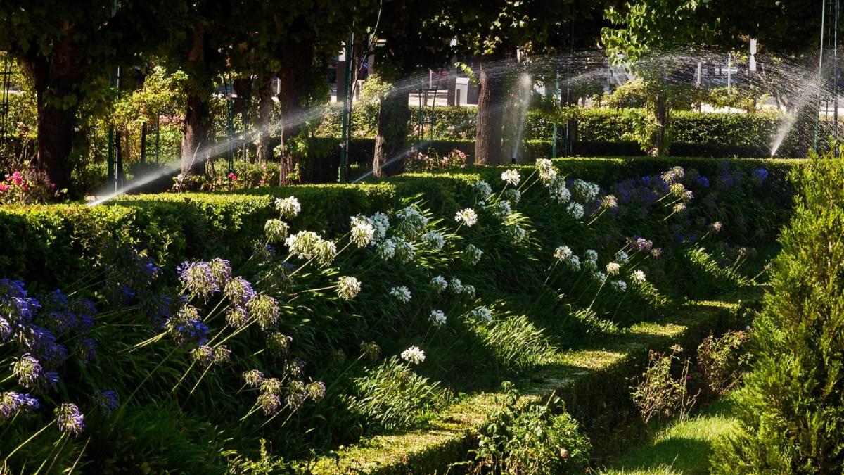 Um jardim no exterior de Curia Palace Hotel & Spa