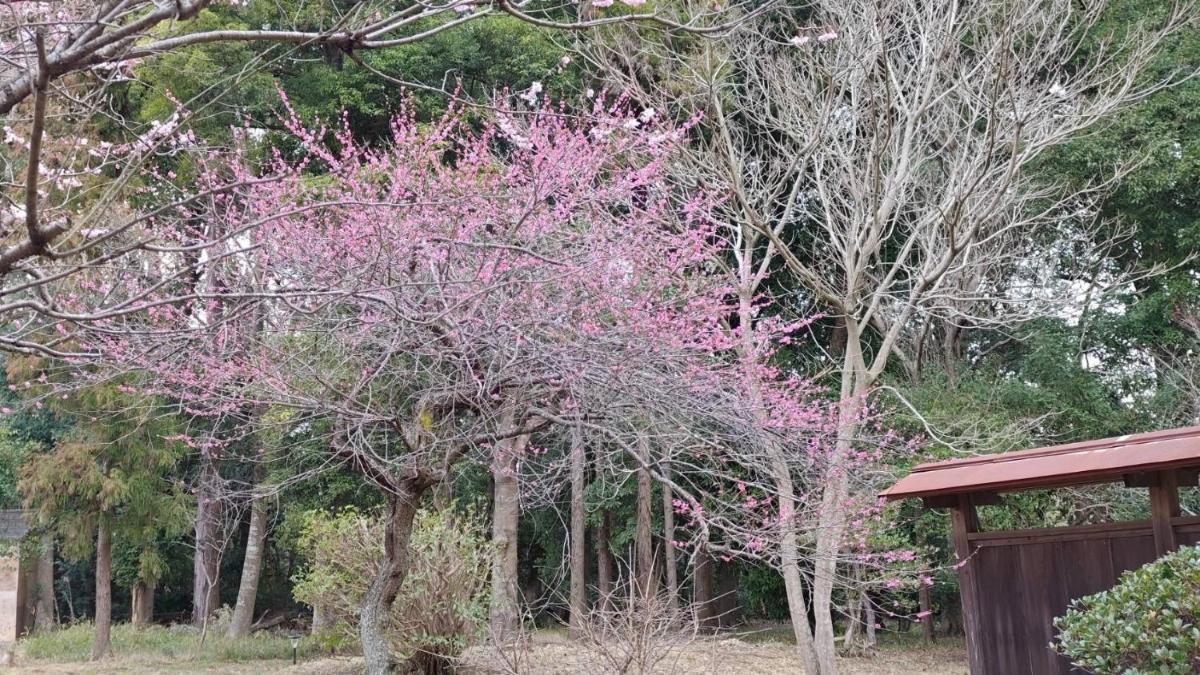 Glamp House HANANOMORI - Vacation STAY 12585 - Housity