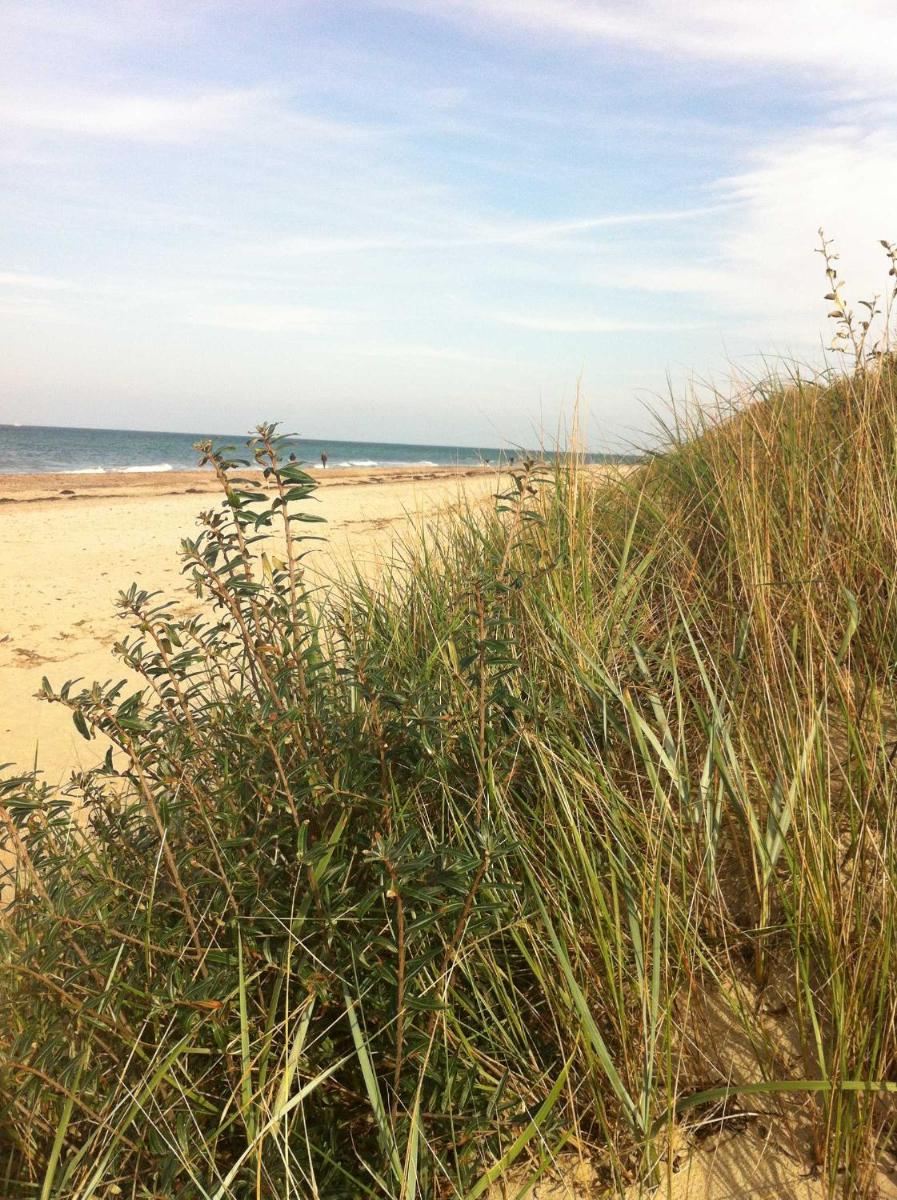 Strandnahes Landhaus Ostseeblick - Housity