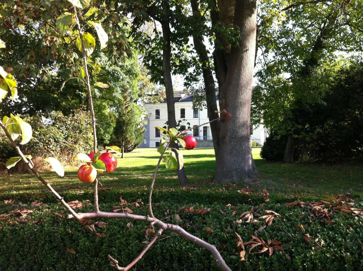 Strandnahes Landhaus Ostseeblick - Housity