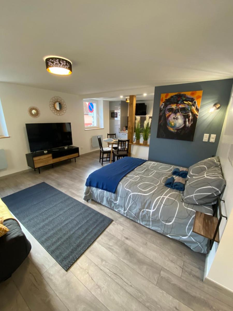 Studio tout confort, à 2 min de Colmar - Housity