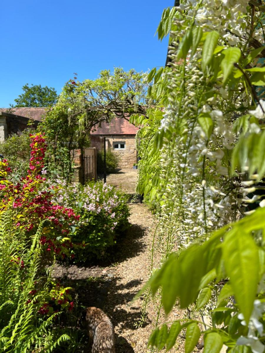 Luxury Cottage with Swimming Pool - Housity