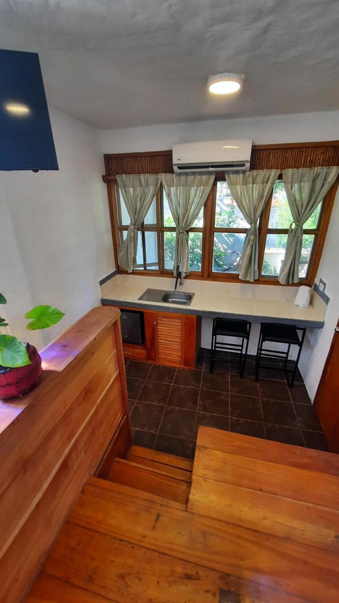 Alma de cedrela - Housity