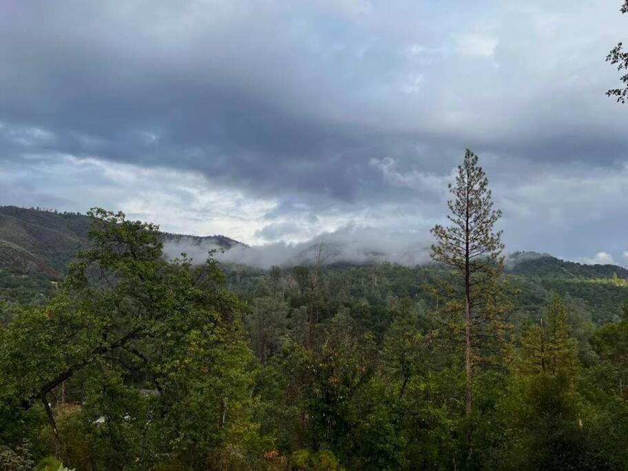 Yosemite's Scenic Hideaway - Housity