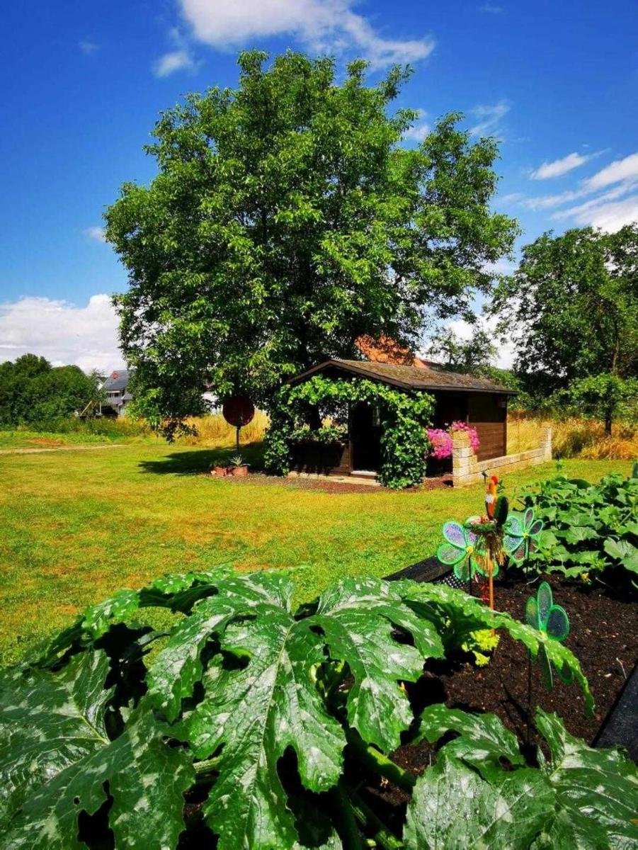 Ferienwohnung Erlwein - Housity