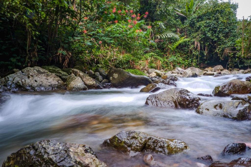 Suitetrails - Hotel New Ayuda 2