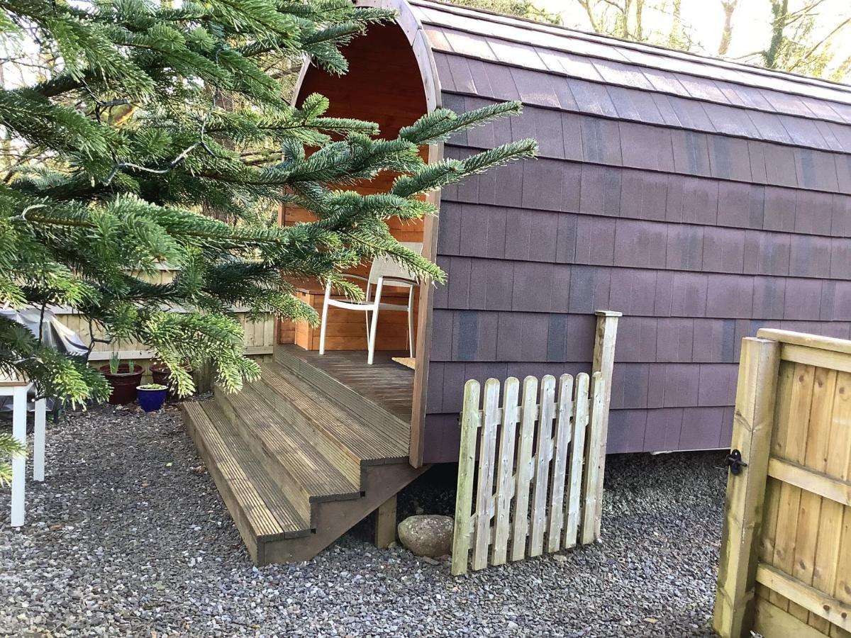 Little London Bed & Breakfast and Glamping pod - Housity