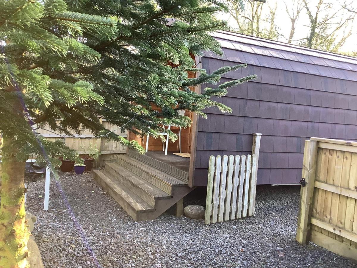Little London Bed & Breakfast and Glamping pod - Housity